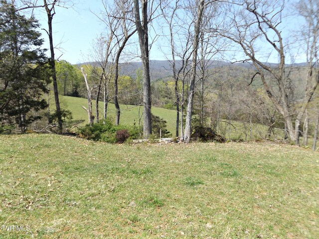 855 Willow Springs Rd, Elizabethton, TN 37643 - photo 13