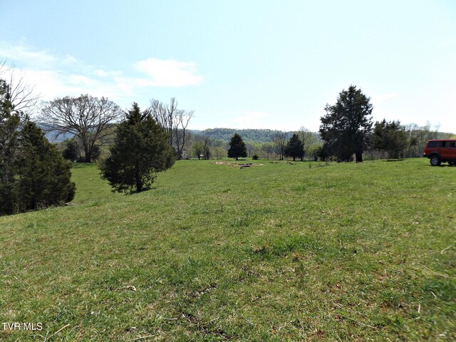 855 Willow Springs Rd, Elizabethton, TN 37643 - photo 31