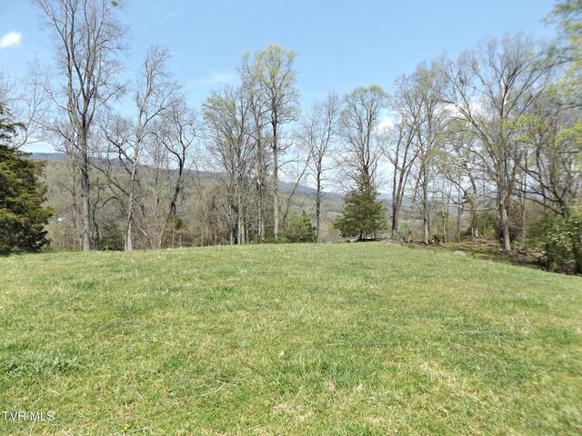 855 Willow Springs Rd, Elizabethton, TN 37643 - photo 33