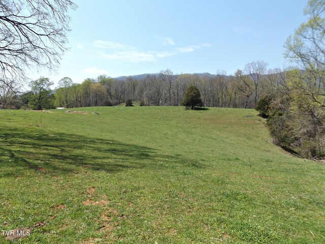 855 Willow Springs Rd, Elizabethton, TN 37643 - photo 34