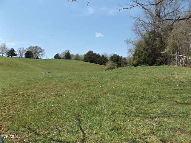 855 Willow Springs Rd, Elizabethton, TN 37643 - photo 16