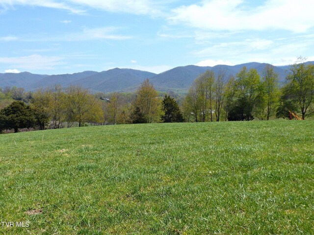 855 Willow Springs Rd, Elizabethton, TN 37643 - photo 4