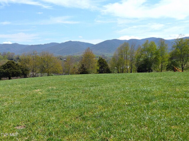 855 Willow Springs Rd, Elizabethton, TN 37643 - photo 14