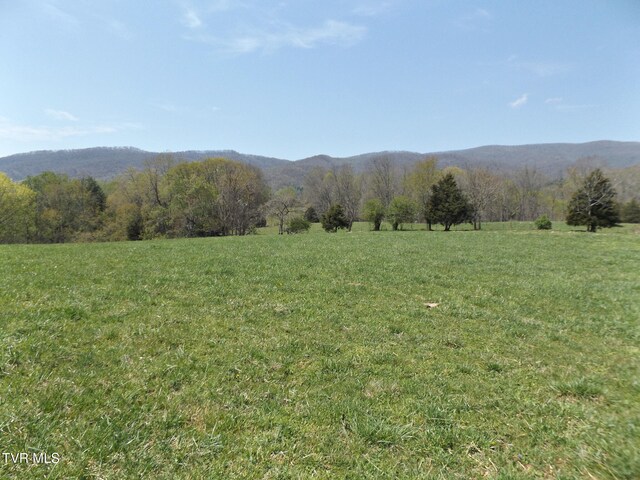 855 Willow Springs Rd, Elizabethton, TN 37643 - photo 35