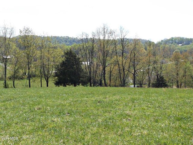 855 Willow Springs Rd, Elizabethton, TN 37643 - photo 42