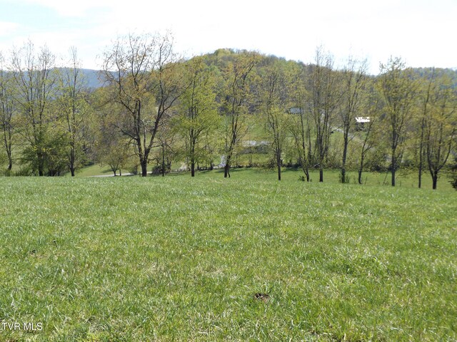 855 Willow Springs Rd, Elizabethton, TN 37643 - photo 36