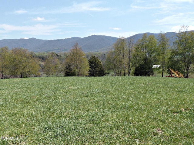 855 Willow Springs Rd, Elizabethton, TN 37643 - photo 37