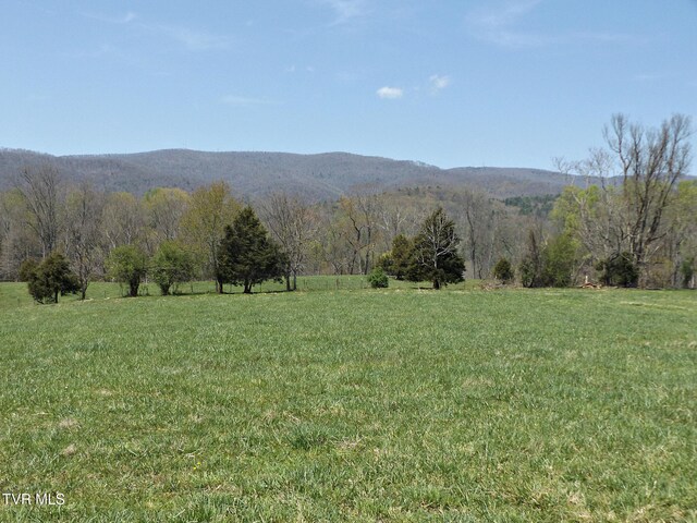 855 Willow Springs Rd, Elizabethton, TN 37643 - photo 38