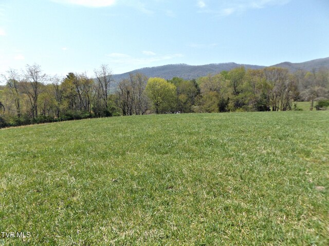 855 Willow Springs Rd, Elizabethton, TN 37643 - photo 39