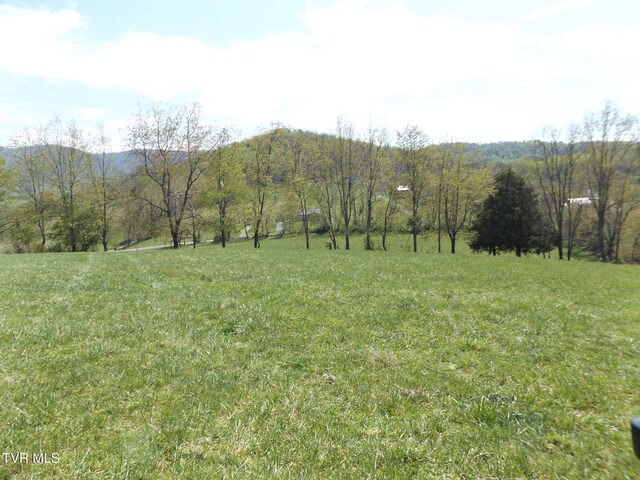 855 Willow Springs Rd, Elizabethton, TN 37643 - photo 7
