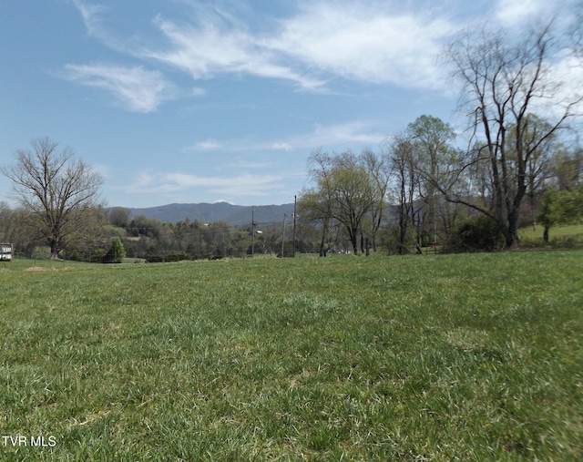 855 Willow Springs Rd, Elizabethton, TN 37643 - photo 11