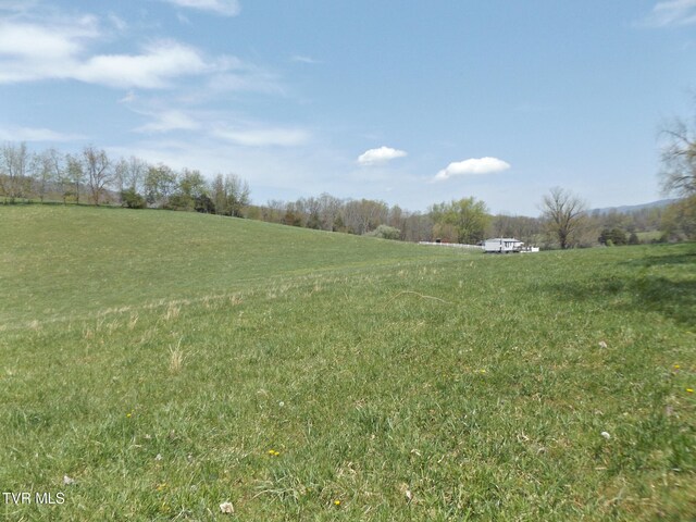 855 Willow Springs Rd, Elizabethton, TN 37643 - photo 44