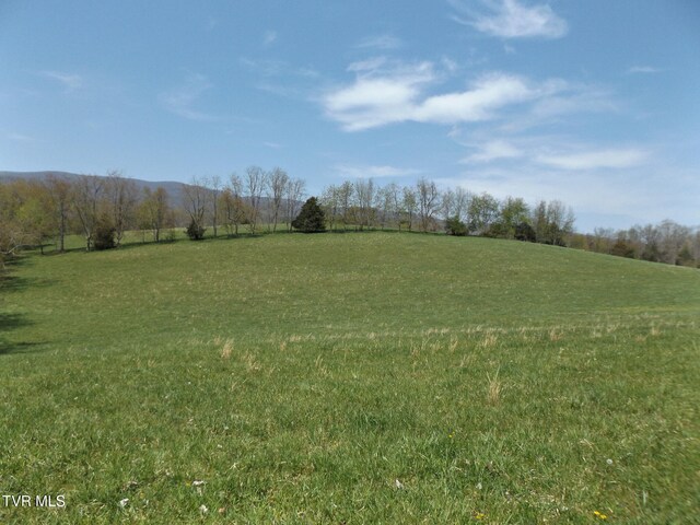 855 Willow Springs Rd, Elizabethton, TN 37643 - photo 9