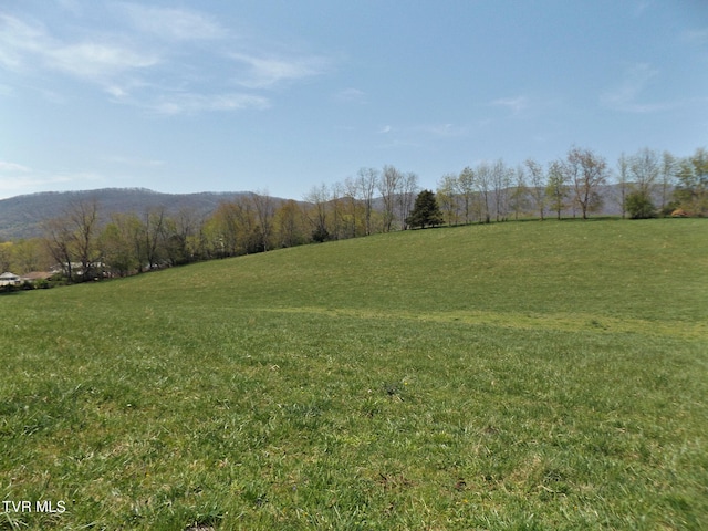855 Willow Springs Rd, Elizabethton, TN 37643 - photo 45