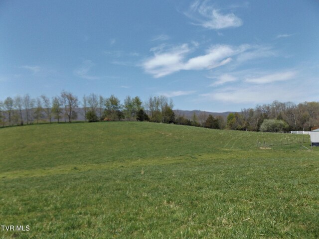 855 Willow Springs Rd, Elizabethton, TN 37643 - photo 46