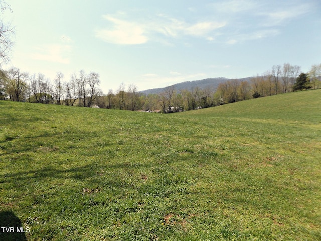 855 Willow Springs Rd, Elizabethton, TN 37643 - photo 40