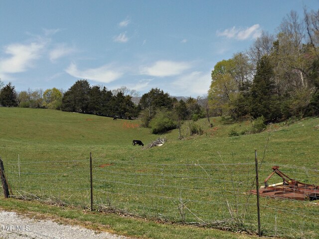 855 Willow Springs Rd, Elizabethton, TN 37643 - photo 54