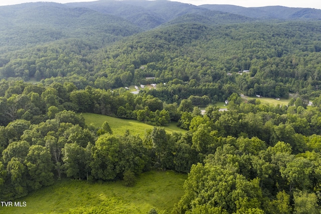 855 Willow Springs Rd, Elizabethton, TN 37643 - photo 57