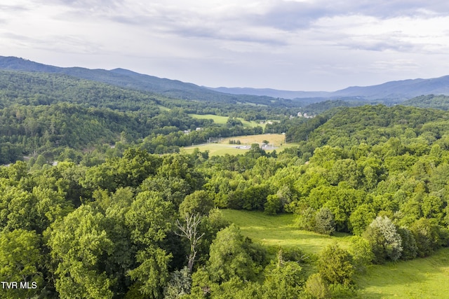 855 Willow Springs Rd, Elizabethton, TN 37643 - photo 60