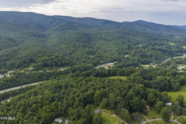 855 Willow Springs Rd, Elizabethton, TN 37643 - photo 65