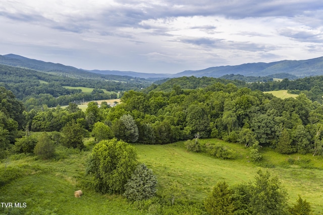 855 Willow Springs Rd, Elizabethton, TN 37643 - photo 5