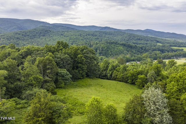 855 Willow Springs Rd, Elizabethton, TN 37643 - photo 8