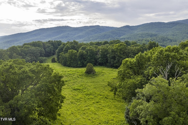 855 Willow Springs Rd, Elizabethton, TN 37643 - photo 69