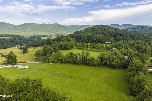 855 Willow Springs Rd, Elizabethton, TN 37643 - photo 3