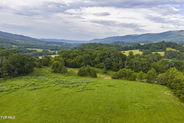 855 Willow Springs Rd, Elizabethton, TN 37643 - photo 71