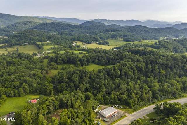855 Willow Springs Rd, Elizabethton, TN 37643 - photo 72