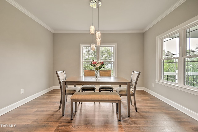 20385 Yeary Trl, Abingdon, VA 24211 - dining area featuring plenty of natural light, crown molding, and dark wood finished floors