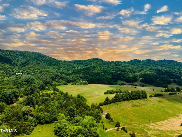 592 Melinda Ferry Rd, Rogersville, TN 37857 - photo 2
