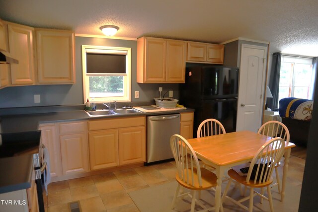 3374 W Old Kentucky Rd, Mosheim, TN 37818 - photo 32