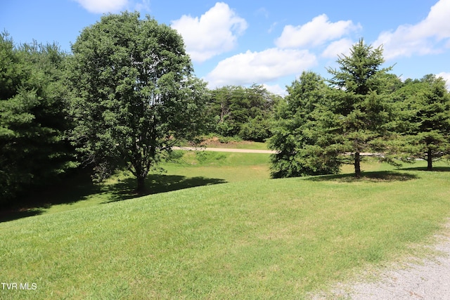 3374 W Old Kentucky Rd, Mosheim, TN 37818 - photo 73