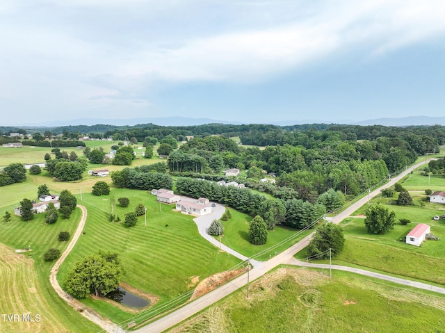 3374 W Old Kentucky Rd, Mosheim, TN 37818 - photo 87