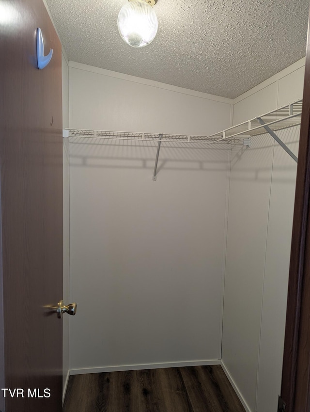 3374 W Old Kentucky Rd, Mosheim, TN 37818 - photo 8