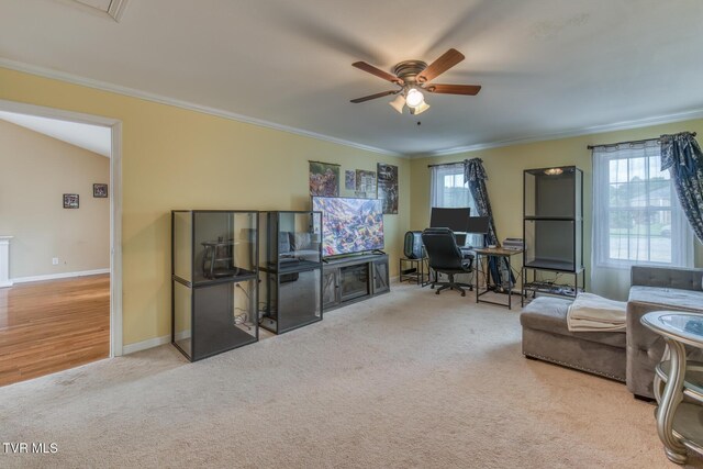 250 Bradford Ln, Bristol, TN 37620 - photo 26