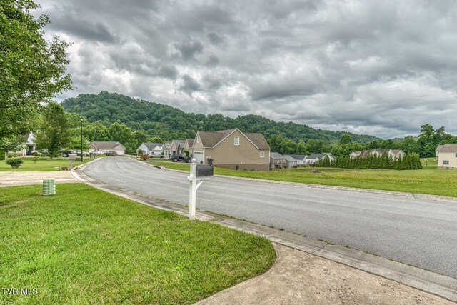 250 Bradford Ln, Bristol, TN 37620 - photo 30