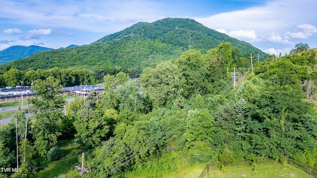 446 Harry Fry Dr, Gate City, VA 24251 - photo 61