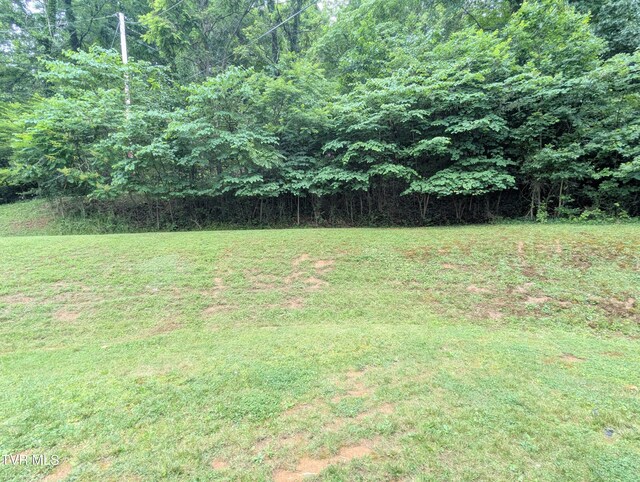 2324 Inglewood Dr, Kingsport, TN 37664 - photo 21