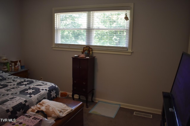 123 Valley View Dr, Rogersville, TN 37857 - photo 18