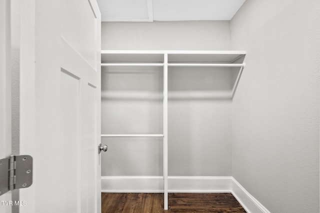 409 Pennsylvania Ave, Bristol, TN 37620 - walk in closet with dark wood-style floors
