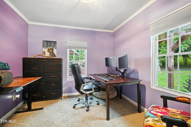 169 Mays Rd, Elizabethton, TN 37643 - office area featuring light colored carpet, crown molding, and plenty of natural light