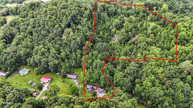 169 Mays Rd, Elizabethton, TN 37643 - view of property location with property boundaries highlighted
