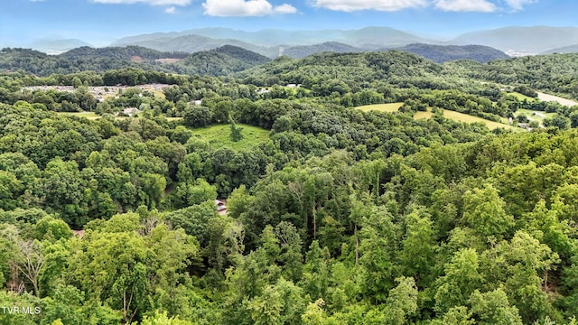169 Mays Rd, Elizabethton, TN 37643 - view of mountain background featuring a forest