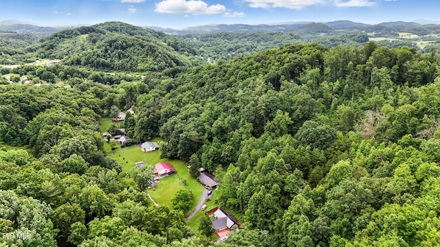 169 Mays Rd, Elizabethton, TN 37643 - bird's eye view of a forest and a mountain backdrop