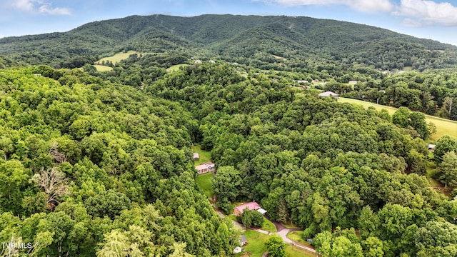 169 Mays Rd, Elizabethton, TN 37643 - aerial view of a forest and mountains