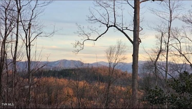 169 Mays Rd, Elizabethton, TN 37643 - photo 38