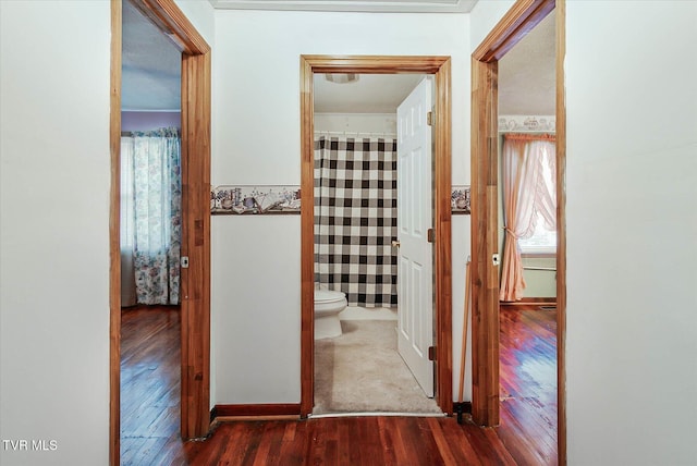 227 Jonesboro Dr, Bluff City, TN 37618 - hallway with wood finished floors