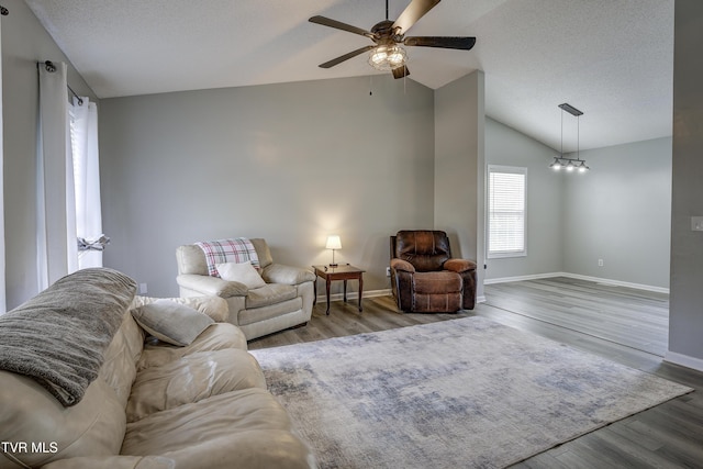 33 Mockingbird Ct, Jonesborough, TN 37659 - living area with lofted ceiling, a ceiling fan, wood finished floors, and a textured ceiling